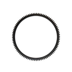 Corona dentata - SDE 170