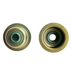 Paraolio su valvola aspirazione - GB 210 - 225