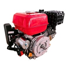 Motore benzina -  GB 225 - EURO V