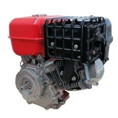 Motore benzina -  GB 420 - EURO V