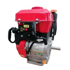 Motore benzina -  SN 420 SPAZZANEVE - EURO V