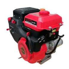 Motore benzina -  SN 420 SPAZZANEVE - EURO V