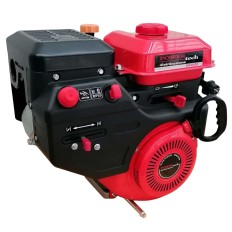 Motore a benzina - SN 420 SPAZZANEVE - EURO V