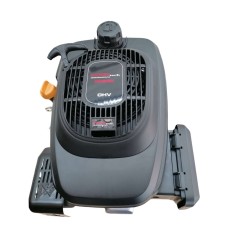 Motore benzina - XP 200 L - EURO V