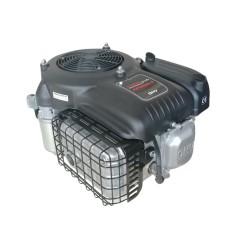 Motore benzina asse verticale serie XP