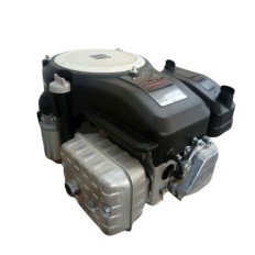 Motore benzina - XP 550 E - EURO V