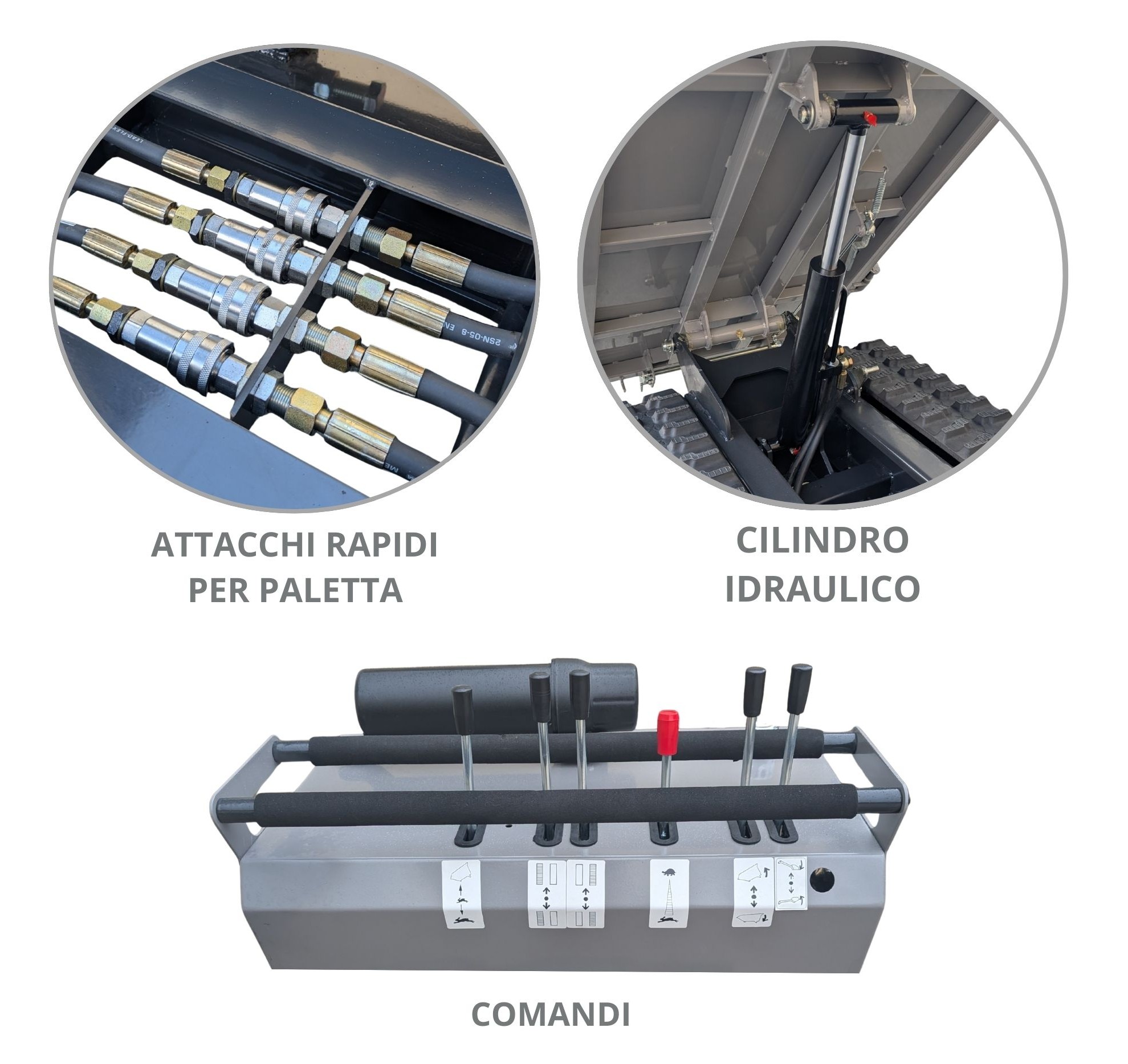 CARATTERISTICHE PTD 550 P HY.jpg